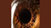 Marston Optometry