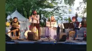 Idle Wild Music