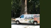 Restore Your Floor
