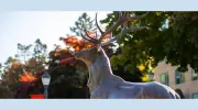 Fairfield University
