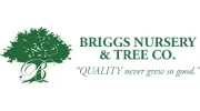 Briggs Tree