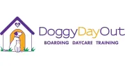 Doggy Day Out