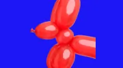 Balloon Creations