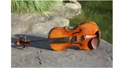 Signature String Quartet