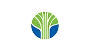Learning Tree