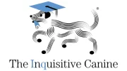 Inquisitive Canine