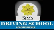 Sims Driving School