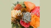 Bloomster's