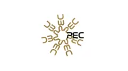 Egen Consulting