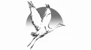 Wildcat Taekwondo