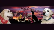 Mobile Veterinary Service