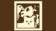 College Village Animal Clinic