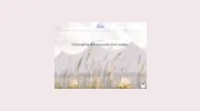 Ideal Wedding & Events