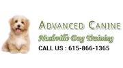 Advanced Canine