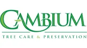 Cambium Tree Care & Preservation
