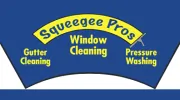 Squeegee Pros