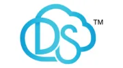 Digital South