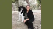 Lavega Veterinarian