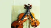 Telford & Sons Violins
