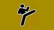 MASTERS Tae Kwon Do Academy