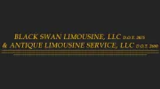 Black Swan & Antique Limousine