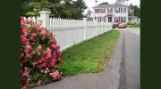 Premier Fence