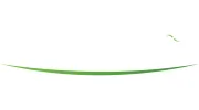 Associated Orthodontists