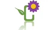 Central Square Florist