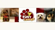 Puppy Lounge