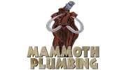 Mammoth Plumbing