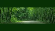 Dziennik Mary T Hypnotherapy