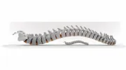 New Orleans Chiropractic