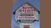Tom Strain & Sons