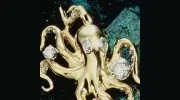 Purvis Jewelers