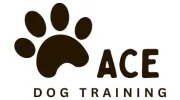 Ace Dog Training