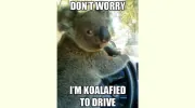Code 4 Driving School