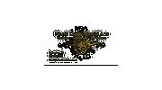 North Dallas Martial Arts