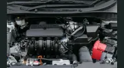 Coastal Import Repair