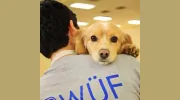Wuf Pet Resort & Spa