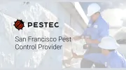 Pestec