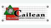 Cailean Group Business Services