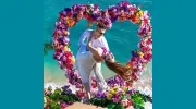 Aloha Island Weddings