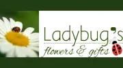 Ladybug's Flowers & Gifts