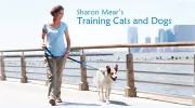 Training Cats & Dogs