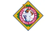 Negro Leagues Baseball Museum