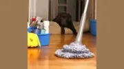 Home Maid Housekeeping AG