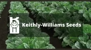 Keithly-Williams Seeds