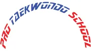 Pro Taekwondo School