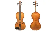 Rosa Musical Instrument