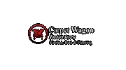 Carpet Wagon